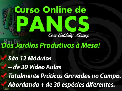 pancs-plantas-alimenticias-nao-convencionais