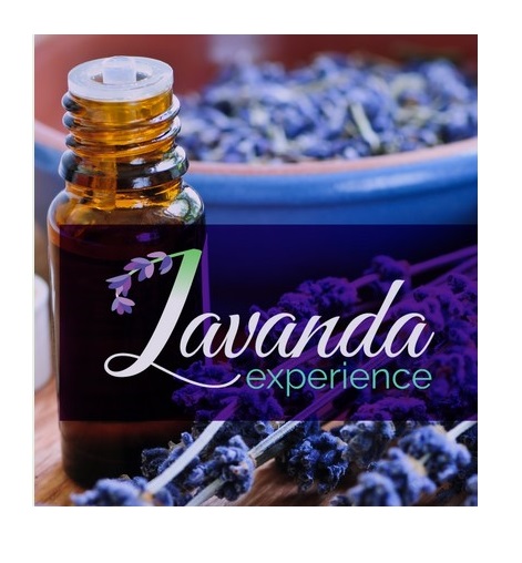 curso-lavanda