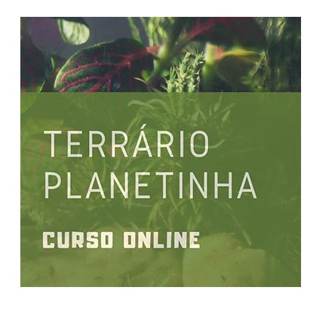 curso-terrários